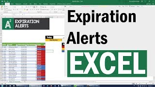 Essential Skill with Excel Expiration Alerts with Conditional Formatting [upl. by Anawaj]