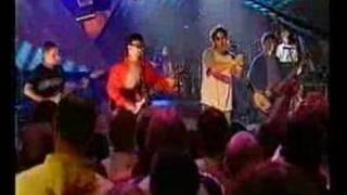 Sense Terry Hall amp The Lightning Seeds [upl. by Storfer]