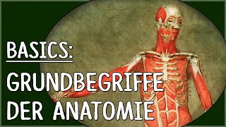 Anatomie  Basics  Richtungen Achsen und Ebenen [upl. by Llerref]