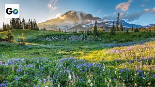 Mount Rainier National Park [upl. by Rufford]