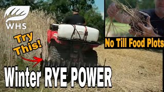 No Till Winter Rye Food Plots [upl. by Schubert]