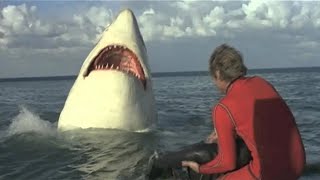 Jaws 2 Where is He  HD CLIP [upl. by Kimberlyn373]