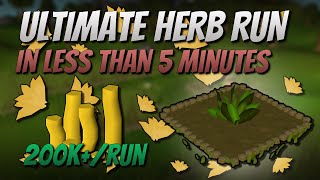 Ultimate Herb Run Guide 200K GPRun [upl. by Zared579]