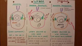 PRUEBA DE WEBER [upl. by Esma]