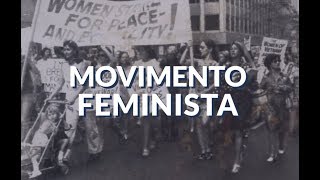 Movimento Feminista no Brasil [upl. by Nimajeb614]