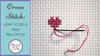 Cross stitch  using a mini pin stitch to anchor a thread [upl. by Ellimaj]