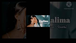 Zaalima Lyrics status Hindi zaalima shortsvideo love viralvideo tranding ytshort [upl. by Amalberga216]