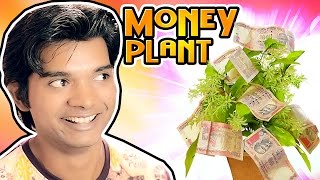 If Money Plant is Real  Hindi Comedy Video  Pakau TV Channel [upl. by Bliss]