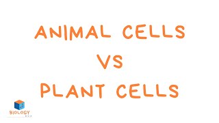 Animal Cells vs Plant Cells KS3 animal and plant cells [upl. by Lopez]