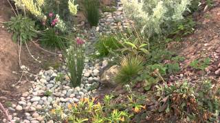 Swale amp Rain Garden How To [upl. by Leroy377]