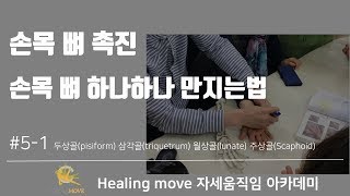 체형교정을 위한 해부학공부  기능해부학 과 촉진기법 51 손목뼈 촉진  Healing move 자세움직임 아카데미 이지환 [upl. by Stets]