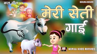 Meri Seti Gai Popular Rhymes For ChildrenNew RhymesFamous Rhymes For Kid  Baal Git Bhura Bhuri [upl. by Haduj84]