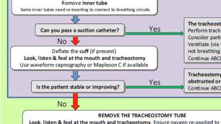 Emergency tracheostomy management [upl. by Cedell]