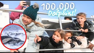 WE SAW A 100000 DOLPHIN POD STAMPEDE WHILE WHALE WATCHING [upl. by Mandych]