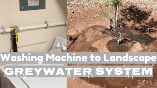 Washing Machine to Landscape Grey Water System [upl. by Ettelorahc]