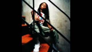 Lil Wayne©  Young Money World  Full Song [upl. by Vocaay]