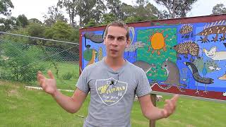 Potoroo Palace Merimbula Review in Dutch from Willem by Grasshopper Travel [upl. by Aenea]