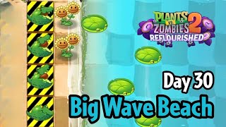 Plants vs Zombies 2 Reflourished  Big Wave Beach Day 30 [upl. by Pickford497]