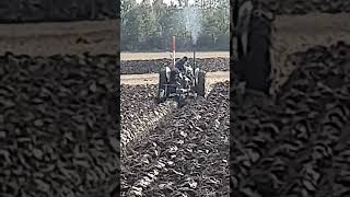 Ferguson FE35 Gold Belly Tractor at Hallaton amp District Ploughing Match  Saturday 5th October 2024 [upl. by Preuss873]