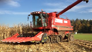 Wenn andere aufgeben Alexander Remund Farmwork bei der Körnermaisernte mit Case IH 2366 TerraTrac [upl. by Yenahpets230]