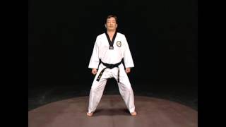 Taekwondo basic stances [upl. by Adnaugal]