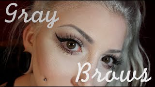 Eyebrow Tutorial for SilverWhiteGreyGray Hair [upl. by Noirret]