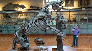 Megatherium sounds giant ground sloth [upl. by Zeuqcaj]