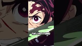 Shinazugawa Sanemis NICHIRIN SWORD Explained  Kimetsu No Yaiba [upl. by Gerrit]