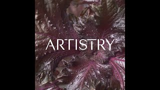 Meet the Artistry™ Brand  Skin Nutrition  Amway [upl. by Ellebana]