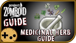 Medicinal Herb Field Guide  Project Zomboid Field Guide [upl. by Esimaj]