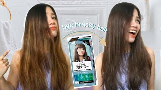 DIY Ash Gray Hair at Home using LIESE Creamy Bubble Hair Color PHP 449 ONLY [upl. by Akedijn758]