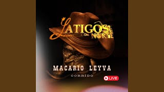 Macario Leyva [upl. by Laspisa]