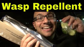 How To Make Wasp RepellentEasy Tutorial [upl. by Trever880]