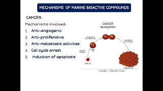 BIOACTIVE compunds from marine actinomycetes and marine algae [upl. by Franzen]