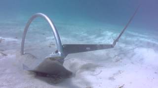 Mantus Anchor Underwater Video [upl. by Cioban]