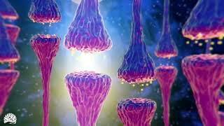 528hz Miracle Tone  Dna Repair amp Healing Nerve And Cell Regeneration Complete Body Healing [upl. by Gabriella304]