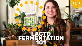 Fermentation 101 Guide to Lacto Fermenting Foods [upl. by Farika]