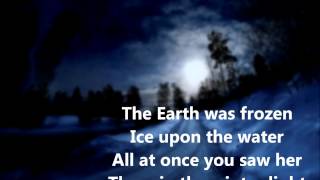 Winter Light  Tim Finn Lyric Video [upl. by Ximenes833]