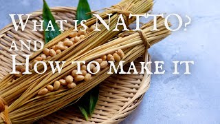 What is NATTO amp How to Make It  FERMENTATION  Takoshiho Cooks Japan [upl. by Anidene900]