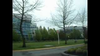 Microsoft Campus Redmond WA [upl. by Solley]