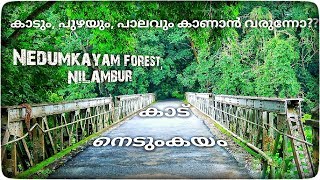 Nedumkayam forest  Nilambur [upl. by Senecal]