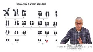 Cours N° 8 Aberrations chromosomiques  Généralités [upl. by Irami]