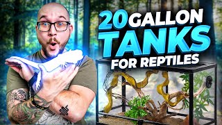 5 Reptiles That Can Live in 20 Gallon Enclosures FOREVER [upl. by Marjana]