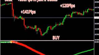 Forex Trading System Xmaster Formula Review Guide [upl. by Risser231]