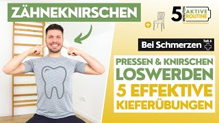 Zähneknirschen  5 Kieferübungen  Pressen amp Knirschen loswerden 5 min  Bei Schmerzen Teil 6 [upl. by Dahc]