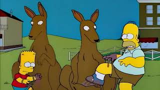 Kangaroo Pouches  The Simpsons [upl. by Agnimod]