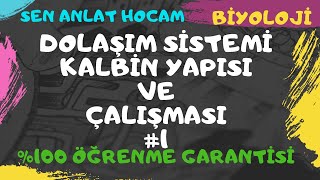 DOLAŞIM SİSTEMİ KONU ANLATIMI 2  KALBİN YAPISI  AYT BİYOLOJİ  ✅ [upl. by Templia147]