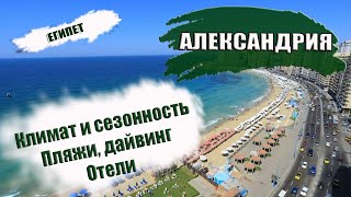 ЕГИПЕТ АЛЕКСАНДРИЯ Климат сезонность Лучшие пляжи дайвинг Отели Alexandria [upl. by Latreshia722]