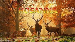 Hosanna in the Highest  Carl Tuttle with Lyrics [upl. by Aelhsa78]