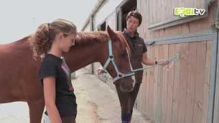 Bien attacher son cheval ou son poney en toute sécurité [upl. by Laing]